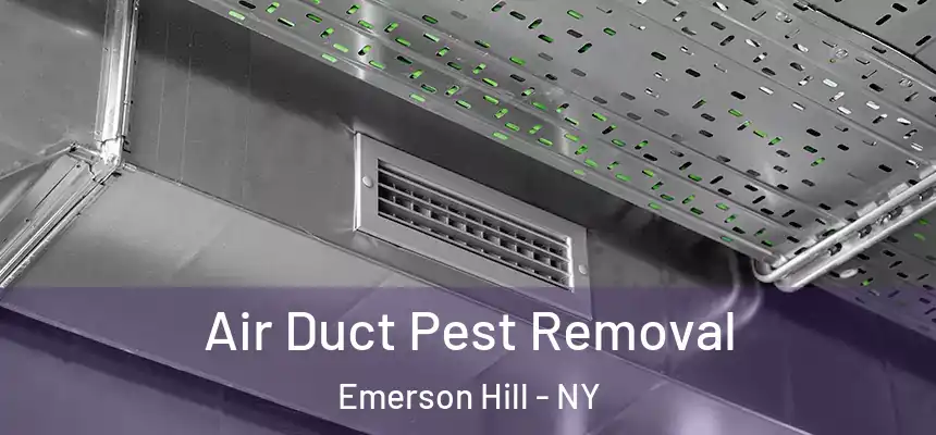  Air Duct Pest Removal Emerson Hill - NY