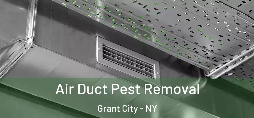  Air Duct Pest Removal Grant City - NY