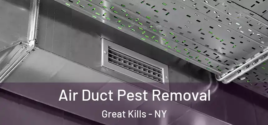 Air Duct Pest Removal Great Kills - NY