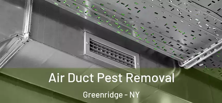  Air Duct Pest Removal Greenridge - NY