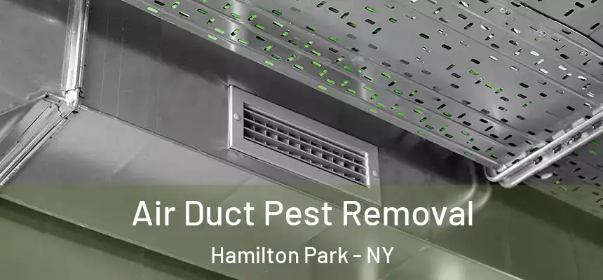 Air Duct Pest Removal Hamilton Park - NY