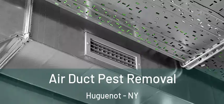  Air Duct Pest Removal Huguenot - NY