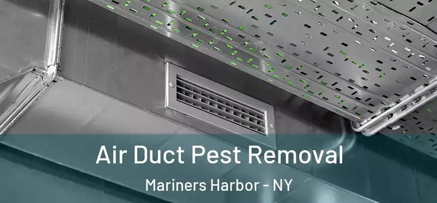 Air Duct Pest Removal Mariners Harbor - NY