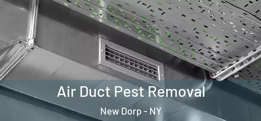 Air Duct Pest Removal New Dorp - NY