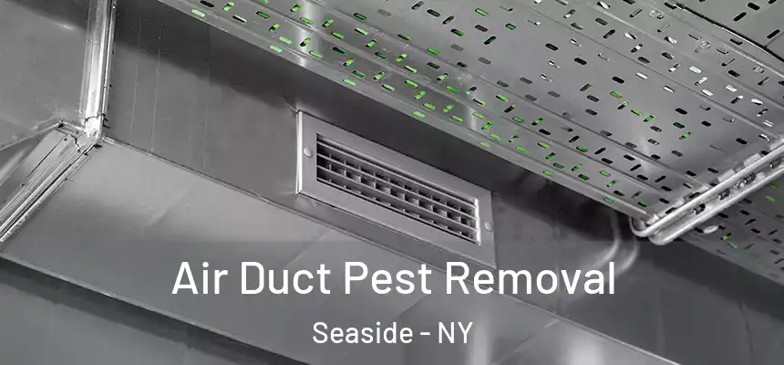 Air Duct Pest Removal Seaside - NY