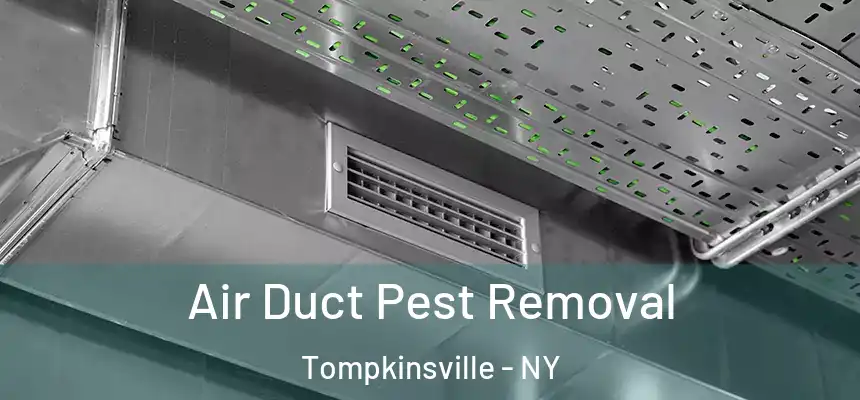 Air Duct Pest Removal Tompkinsville - NY