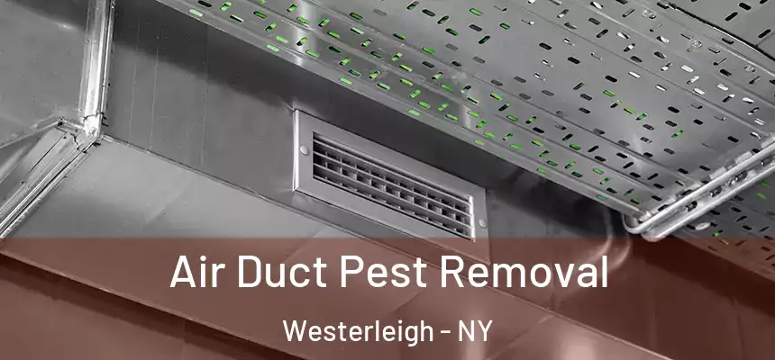 Air Duct Pest Removal Westerleigh - NY