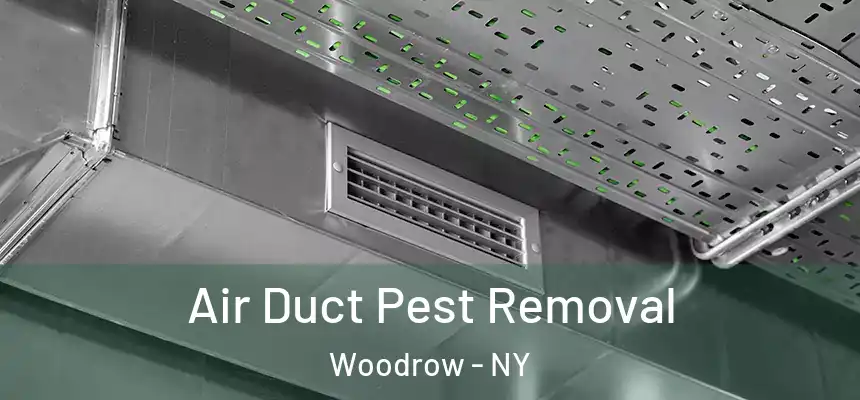 Air Duct Pest Removal Woodrow - NY