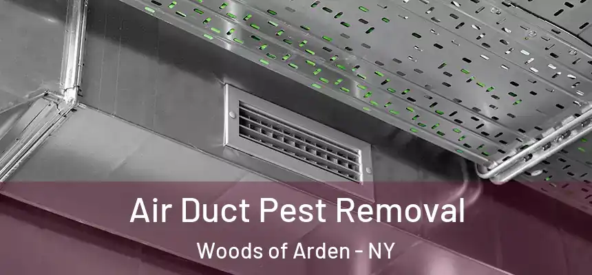 Air Duct Pest Removal Woods of Arden - NY