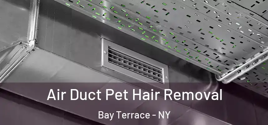 Air Duct Pet Hair Removal Bay Terrace - NY