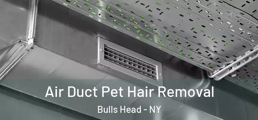 Air Duct Pet Hair Removal Bulls Head - NY