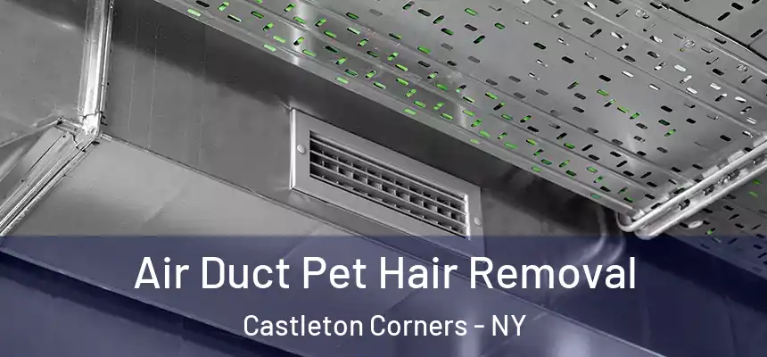 Air Duct Pet Hair Removal Castleton Corners - NY