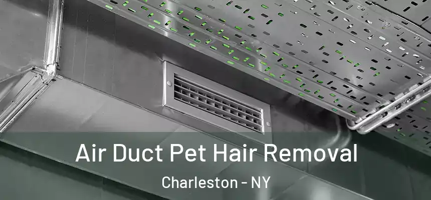 Air Duct Pet Hair Removal Charleston - NY