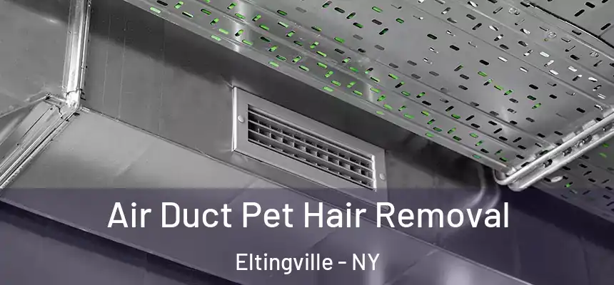 Air Duct Pet Hair Removal Eltingville - NY