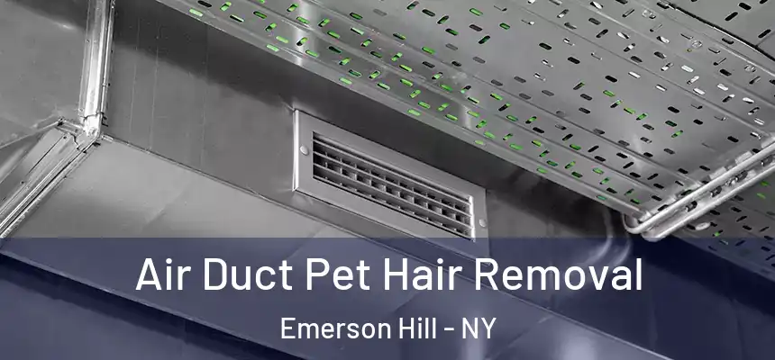 Air Duct Pet Hair Removal Emerson Hill - NY