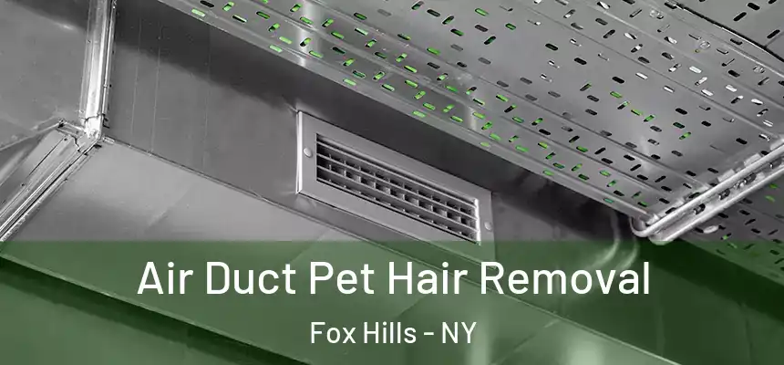 Air Duct Pet Hair Removal Fox Hills - NY