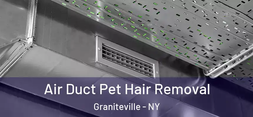Air Duct Pet Hair Removal Graniteville - NY
