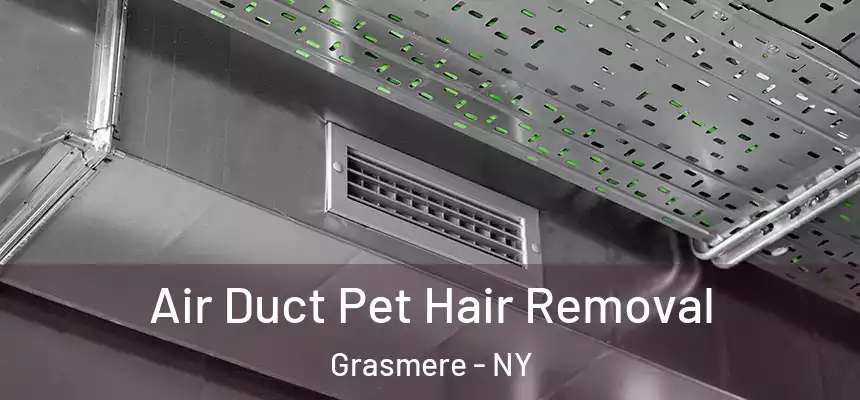 Air Duct Pet Hair Removal Grasmere - NY