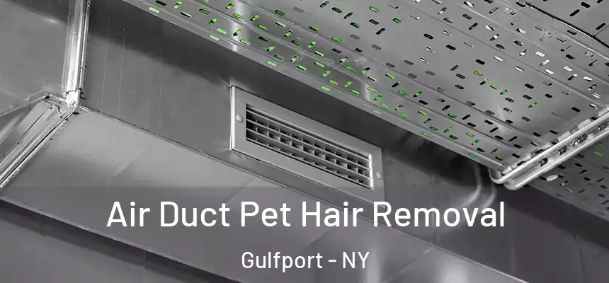 Air Duct Pet Hair Removal Gulfport - NY