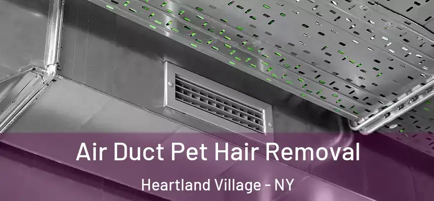 Air Duct Pet Hair Removal Heartland Village - NY