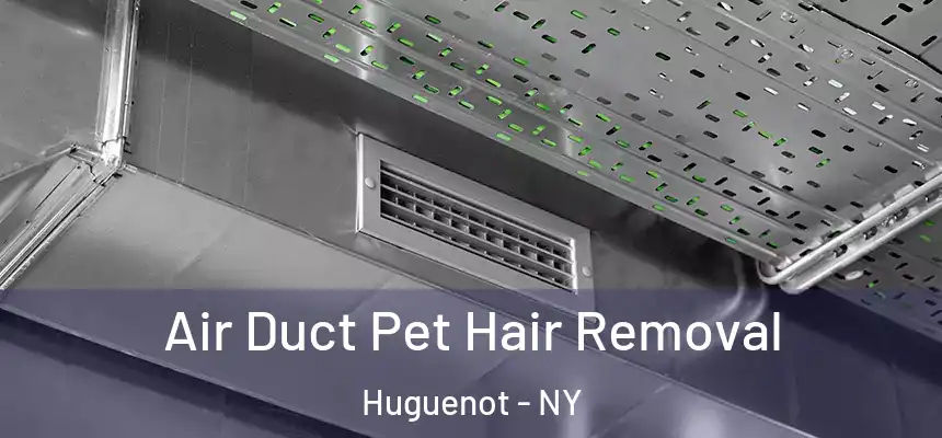 Air Duct Pet Hair Removal Huguenot - NY