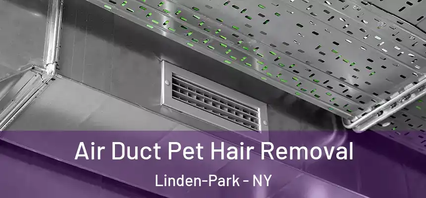 Air Duct Pet Hair Removal Linden-Park - NY