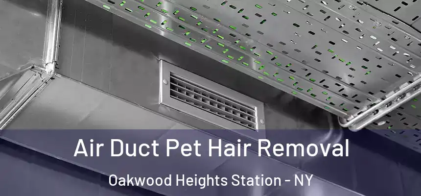 Air Duct Pet Hair Removal Oakwood Heights Station - NY
