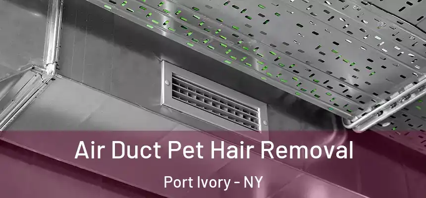 Air Duct Pet Hair Removal Port Ivory - NY