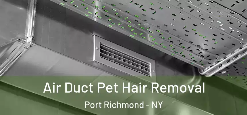 Air Duct Pet Hair Removal Port Richmond - NY