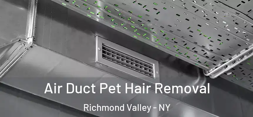 Air Duct Pet Hair Removal Richmond Valley - NY