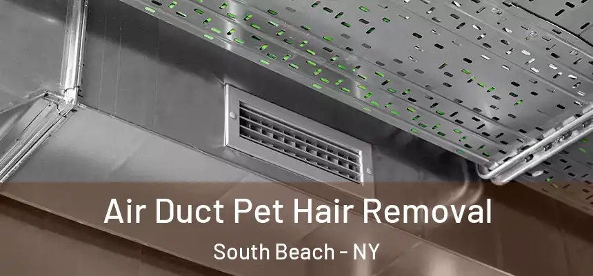 Air Duct Pet Hair Removal South Beach - NY