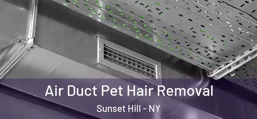 Air Duct Pet Hair Removal Sunset Hill - NY
