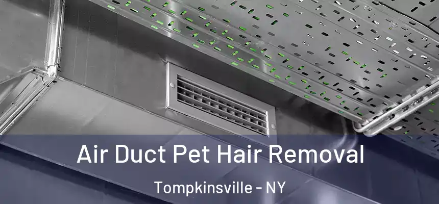 Air Duct Pet Hair Removal Tompkinsville - NY