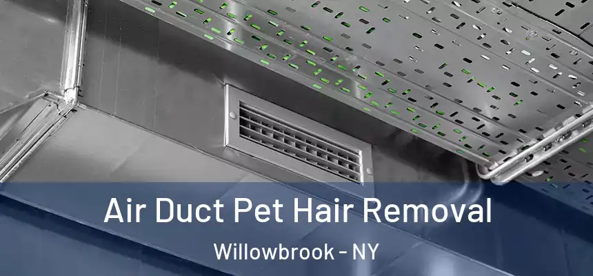 Air Duct Pet Hair Removal Willowbrook - NY
