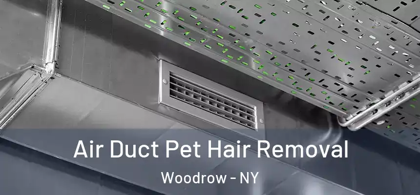 Air Duct Pet Hair Removal Woodrow - NY