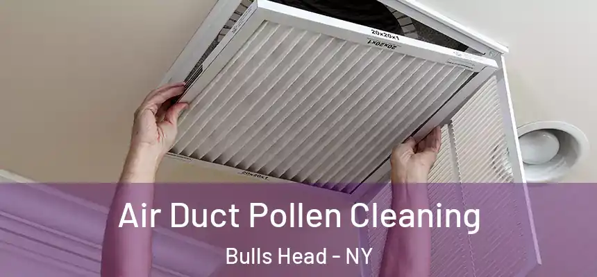 Air Duct Pollen Cleaning Bulls Head - NY