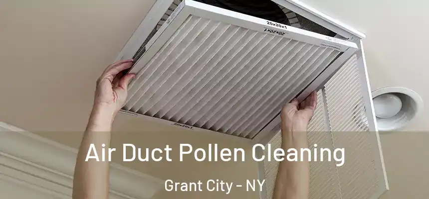  Air Duct Pollen Cleaning Grant City - NY