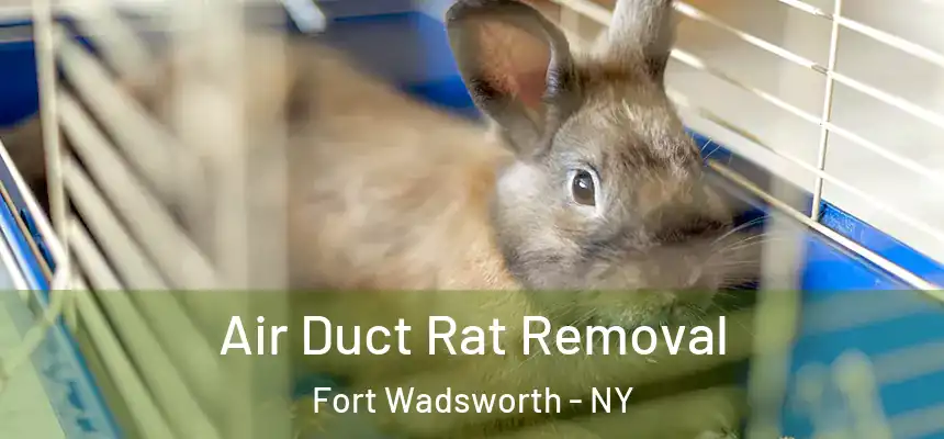  Air Duct Rat Removal Fort Wadsworth - NY