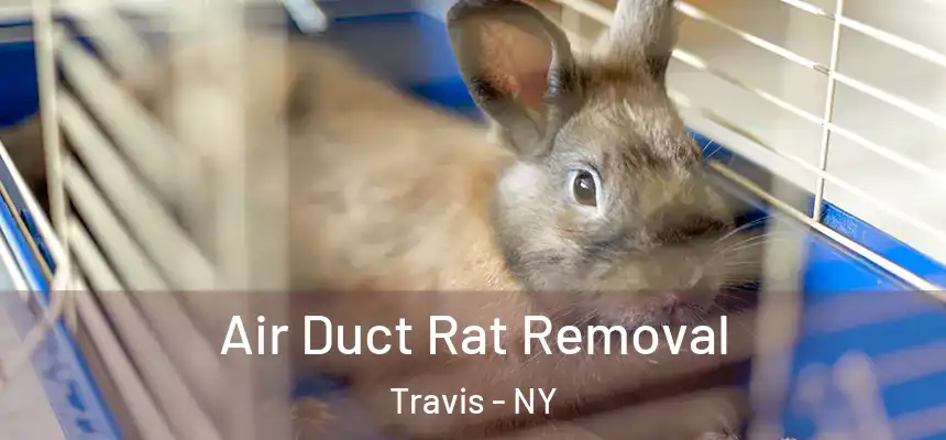 Air Duct Rat Removal Travis - NY