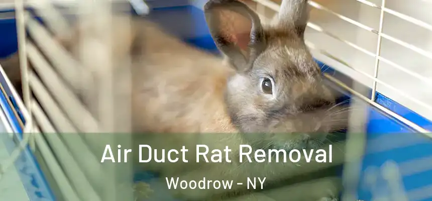 Air Duct Rat Removal Woodrow - NY