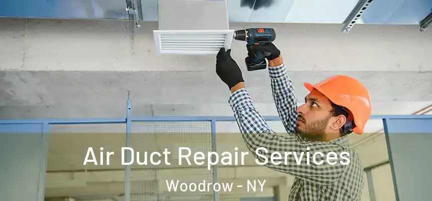  Air Duct Repair Services Woodrow - NY