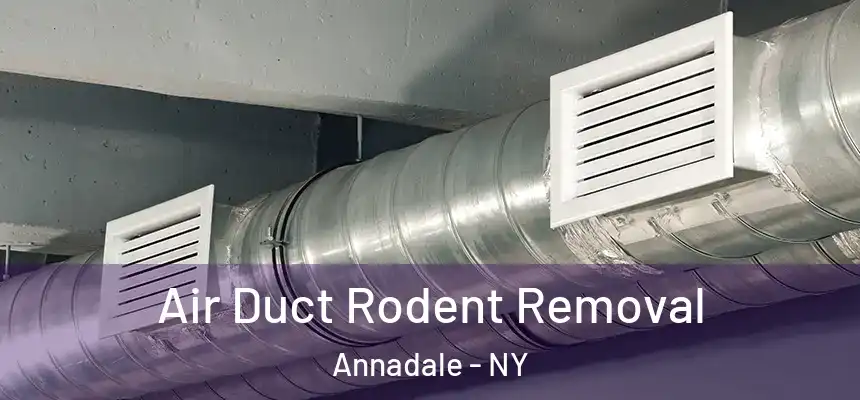 Air Duct Rodent Removal Annadale - NY