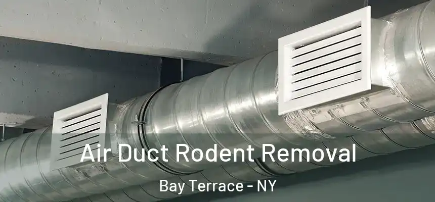  Air Duct Rodent Removal Bay Terrace - NY