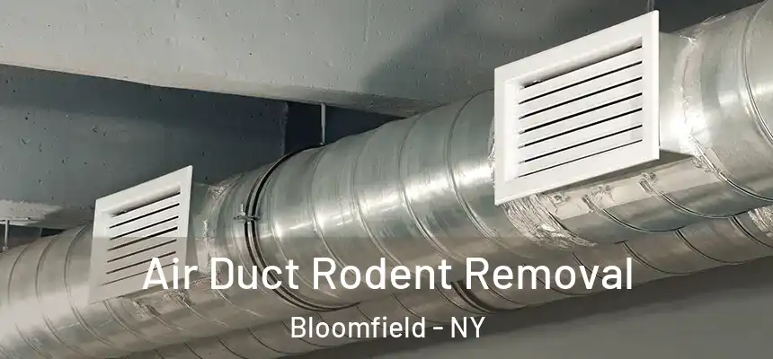 Air Duct Rodent Removal Bloomfield - NY