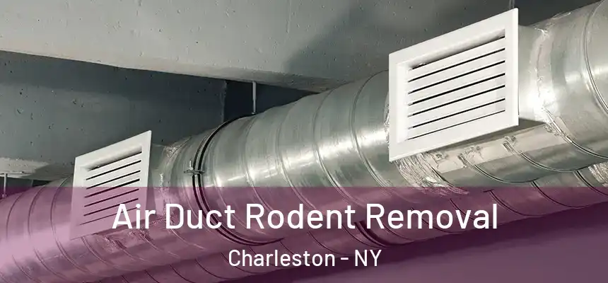 Air Duct Rodent Removal Charleston - NY