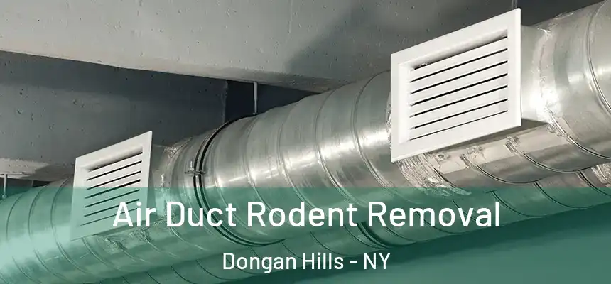Air Duct Rodent Removal Dongan Hills - NY