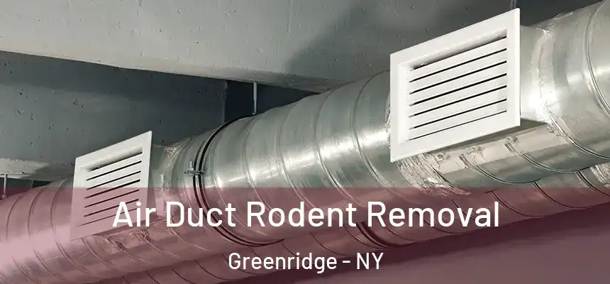  Air Duct Rodent Removal Greenridge - NY