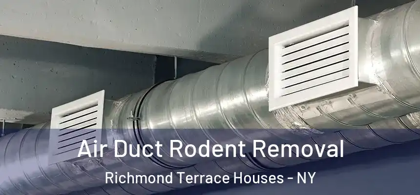  Air Duct Rodent Removal Richmond Terrace Houses - NY