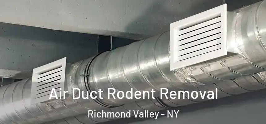 Air Duct Rodent Removal Richmond Valley - NY