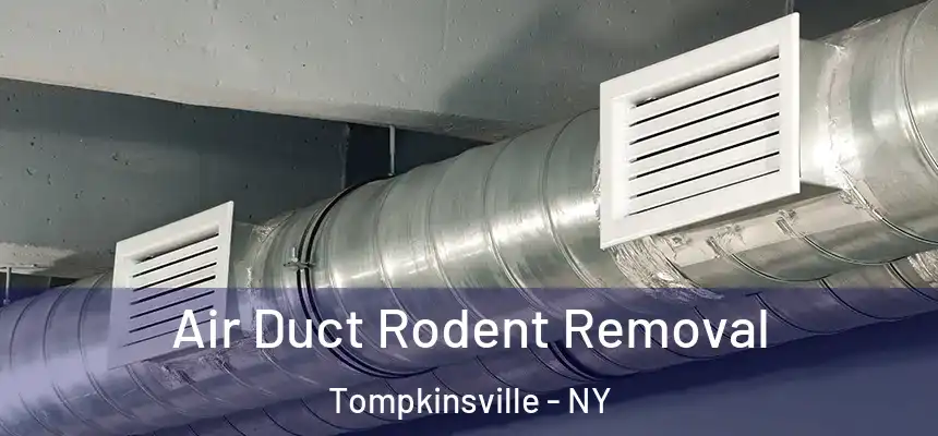  Air Duct Rodent Removal Tompkinsville - NY